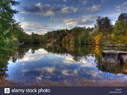 Rotwildpark bei Stuttgart